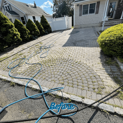 A brick driveway in front of a house with overgrown weeds growing between the bricks. Several blue hoses are laid out across the driveway. The scene is labeled "Before," signaling it’s time for paver repair in Suffolk County or much-needed maintenance.