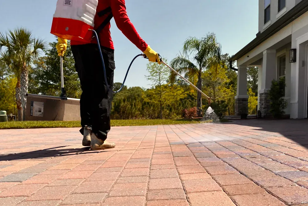 A person wearing gloves and a red shirt sprays water or cleaning solution from a hose onto a brick driveway outside a house, surrounded by trees and greenery on a sunny day.